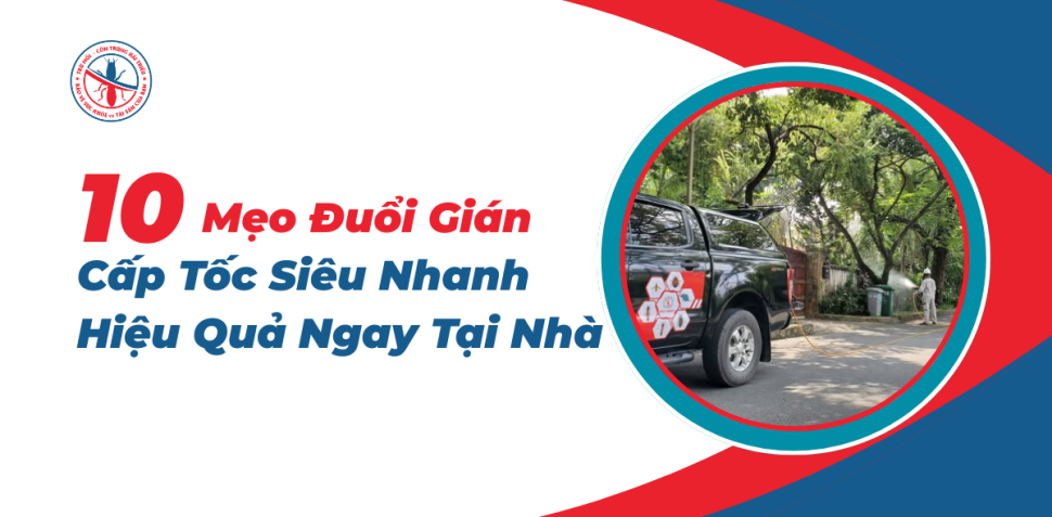 10-Meo-Duoi-Gian-Cap-Toc-Sieu-Nhanh-Hieu-Qua-Ngay-Tai-Nh