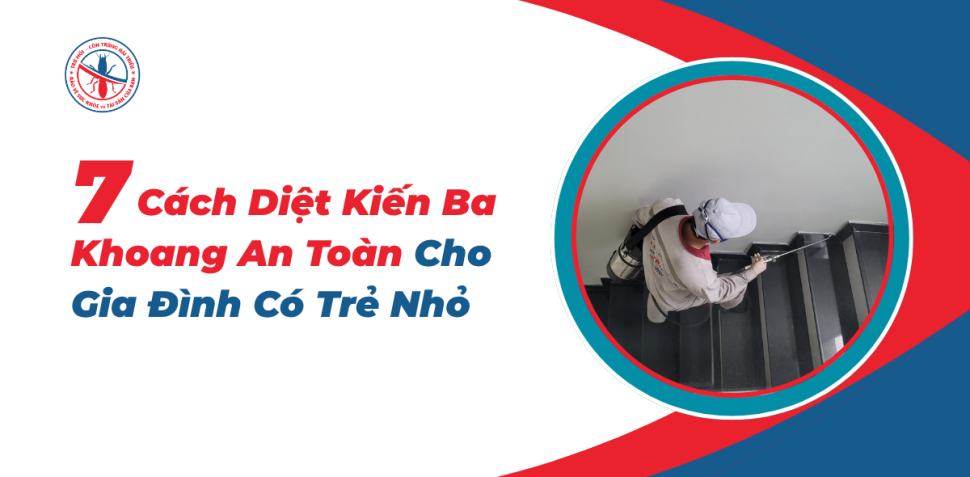 Cach-Diet-Kien-Ba-Khoang-An-Toan