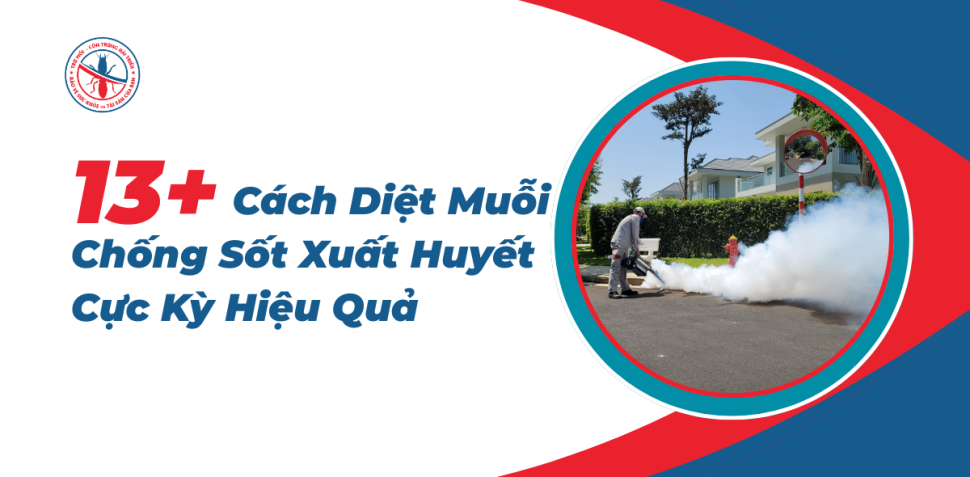 Cach-Diet-Muoi-Chong-Sot-Xuat-Huyet-Cuc-Ky-Hieu-Qua