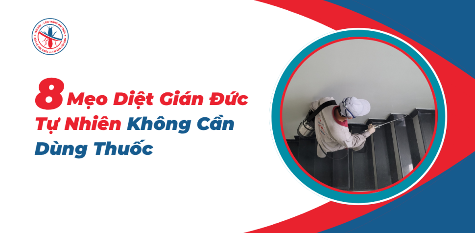 Meo-Diet-Gian-Duc-Tu-Nhien-Khong-Can-Dung-Thuoc