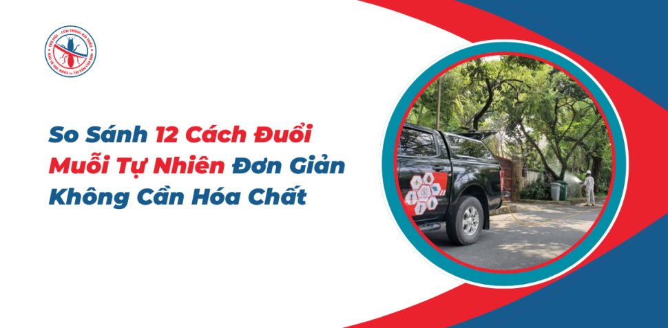 So-Sanh-12-Cach-Duoi-Muoi-Tu-Nhien-Don-Gian-Khong-Can-Hoa-Chat