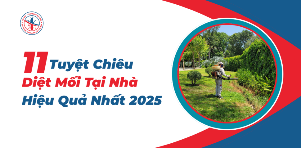 Tuyet-Chieu-Diet-Moi-Tai-Nha-Hieu-Qua-Nhat-2025