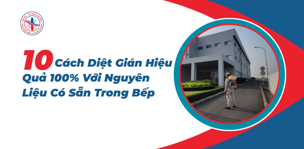 10-Cach-Diet-Gian-Hieu-Qua-100-Voi-Nguyen-Lieu-Co-San-Trong-Bep