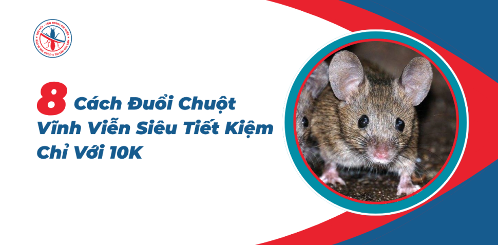 8-Cach-Duoi-Chuot-Vinh-Vien-Sieu-Tiet-Kiem
