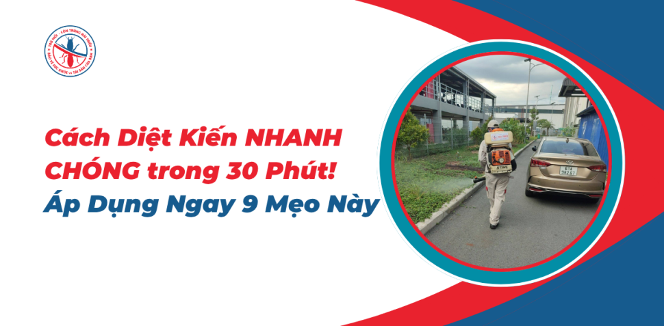 Cach-Diet-Kien-NHANH-CHONG-trong-30-Phut
