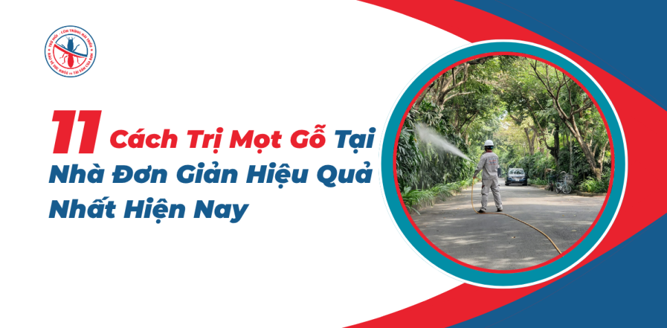 Cach-Tri-Mot-Go-Tai-Nha-Don-Gian-Hieu-Qua-Nhat-Hien-Nay