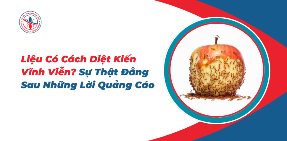 Lieu-Co-Cach-Diet-Kien-Vinh-Vien-Su-That-Dang-Sau-Nhung-Loi-Quang-Cao