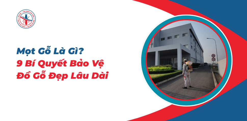 Mot-Go-La-Gi-9-Bi-Quyet-Bao-Ve-Do-Go-Dep-Lau-Dai