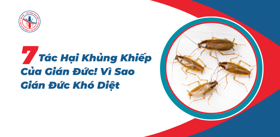 Tac-Hai-Khung-Khiep-Cua-Gian-Duc