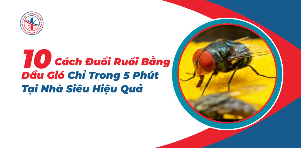 10-Cach-Duoi-Ruoi-Bang-Dau-Gio-Chi-Trong-5-Phut