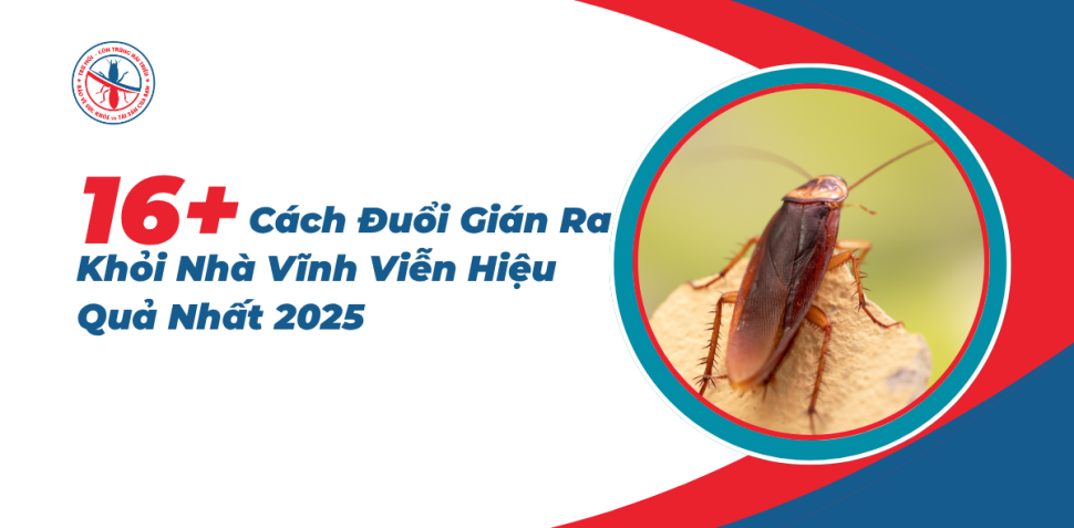 Cach-Duoi-Gian-Ra-Khoi-Nha-Vinh-Vien