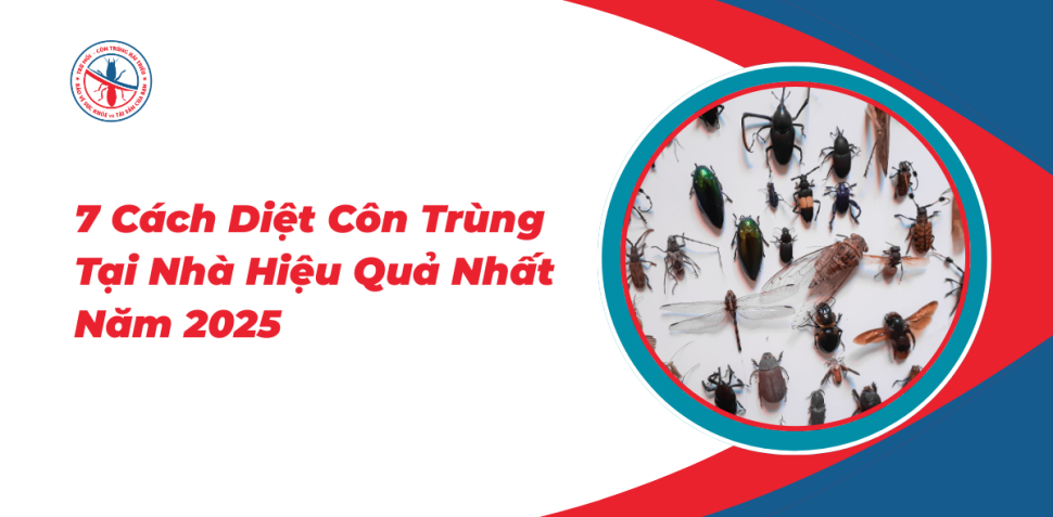 7-Cach-Diet-Con-Trung-Tai-Nha-Hieu-Qua-Nhat-2025