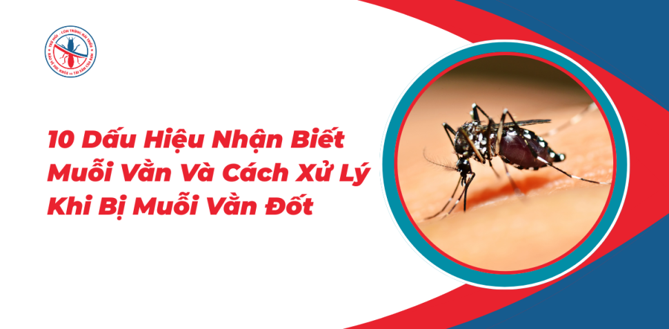 10-Dau-Hieu-Nhan-Biet-Muoi-Van-Va-Cach-Xu-Ly-Khi-Bi-Muoi-Van-Dot