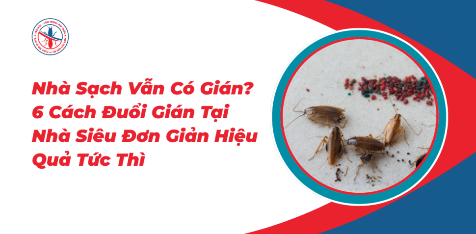 Nha-Sach-Van-Co-Gian-6-Cach-Duoi-Gian-Tai-Nha-Sieu-Don-Gian-Hieu-Qua-Tuc-Thi