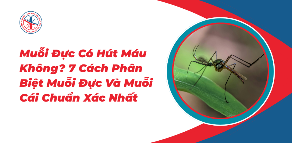 7-Cach-Phan-Biet-Muoi-Duc-Va-Muoi-Cai-Chuan-Xac-Nhat