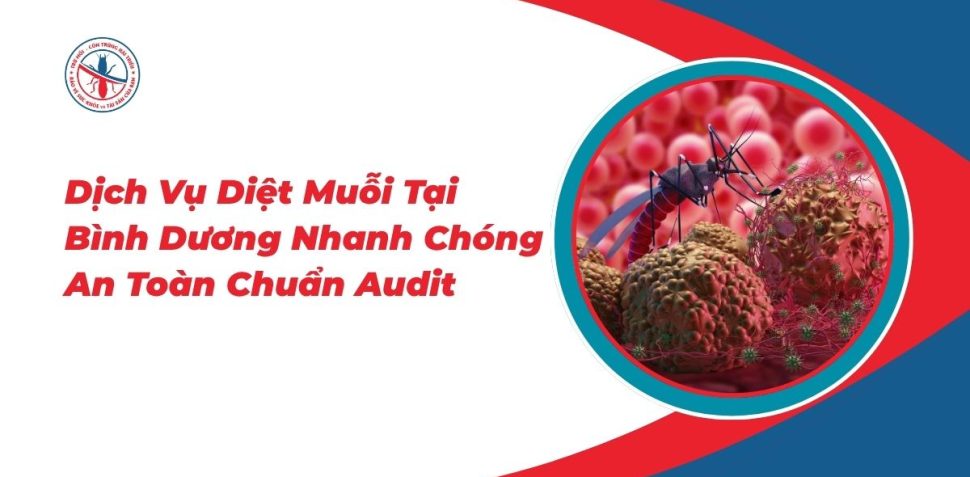 Dich-Vu-Diet-Muoi-Tai-Binh-Duong-Nhanh-Chong-An-Toan-Chuan-Audit