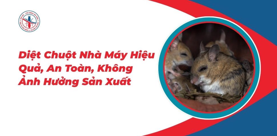 Diet-Chuot-Nha-May-Hieu-Qua-An-Toan-Khong-Anh-Huong-San-Xuat