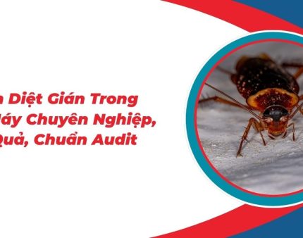 5-Cach-Diet-Gian-Trong-Nha-May-Chuyen-Nghiep-Hieu-Qua-Chuan-Audit