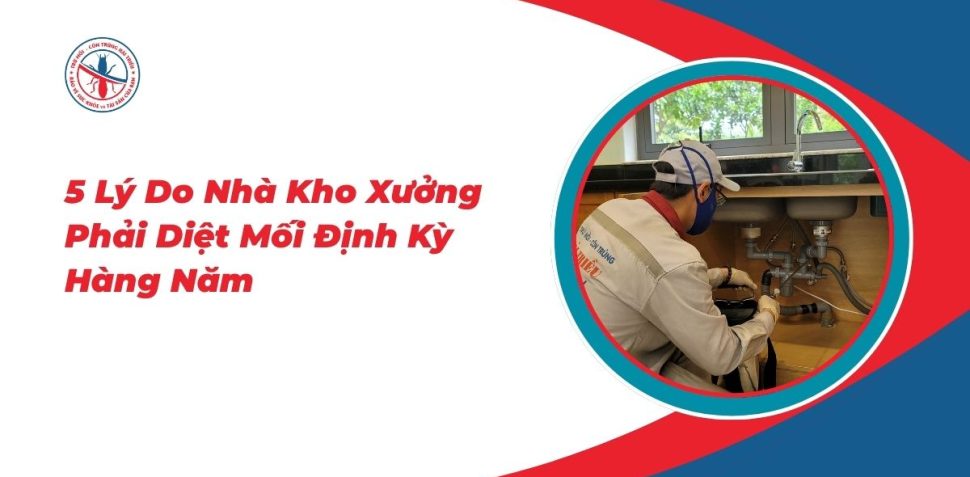 5-Ly-Do-Nha-Kho-Xuong-Phai-Diet-Moi-Dinh-Ky-Hang-Nam