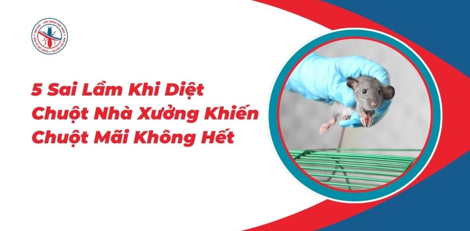 5-Sai-Lam-Khi-Diet-Chuot-Nha-Xuong-Khien-Chuot-Mai-Khong-Het