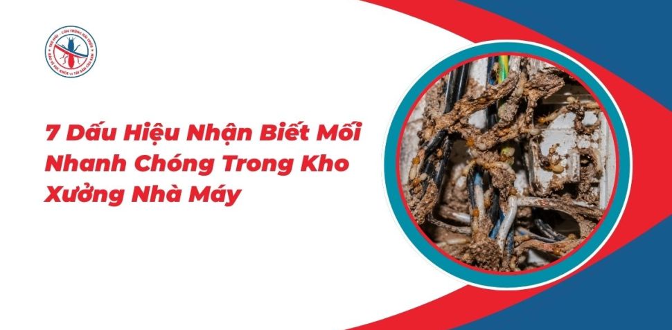 7-Dau-Hieu-Nhan-Biet-Moi-Nhanh-Chong-Trong-Kho-Xuong-Nha-May