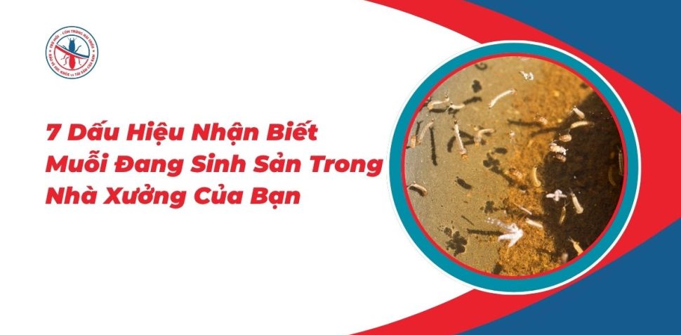7-Dau-Hieu-Nhan-Biet-Muoi-Dang-Sinh-San-Trong-Nha-Xuong-Cua-Ban