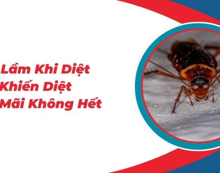 7-Sai-Lam-Khi-Diet-Gian-Khien-Diet-Gian-Mai-Khong-Het