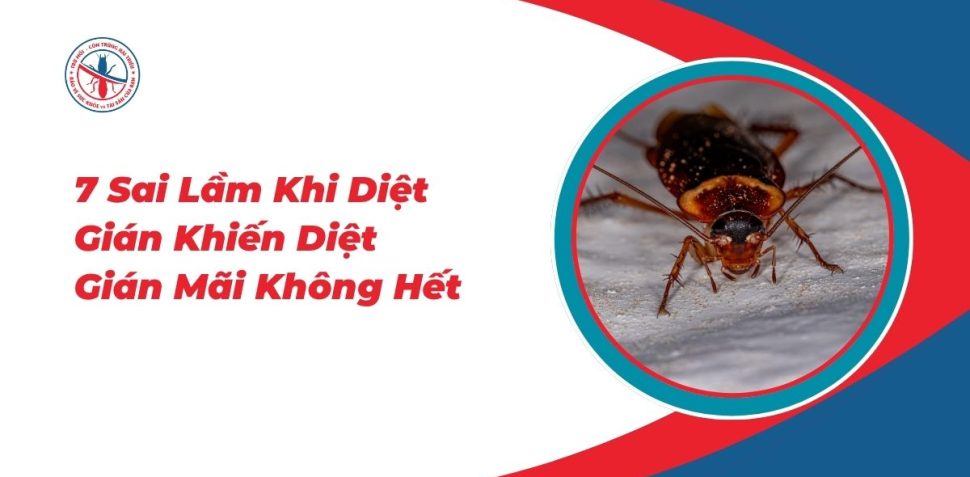 7-Sai-Lam-Khi-Diet-Gian-Khien-Diet-Gian-Mai-Khong-Het