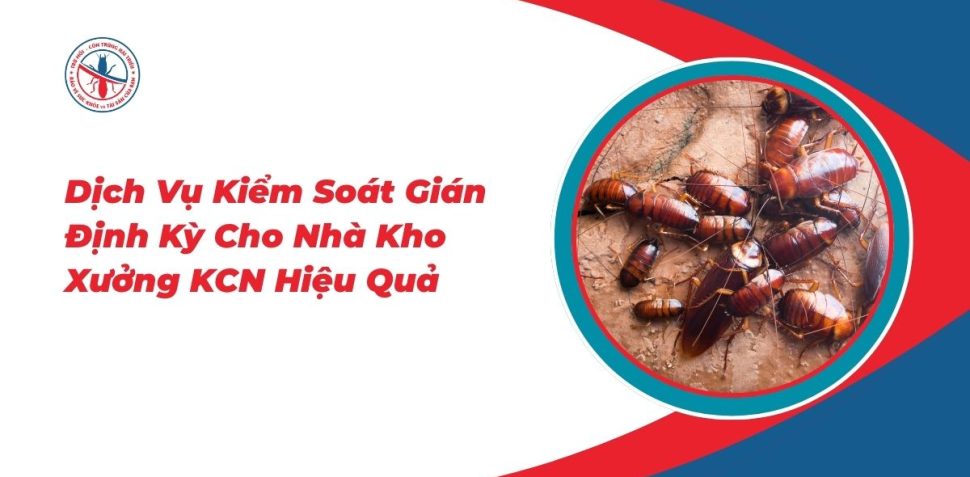 Dich-Vu-Kiem-Soat-Gian-Dinh-Ky-Cho-Nha-Kho-Xuong-KCN-Hieu-Qua