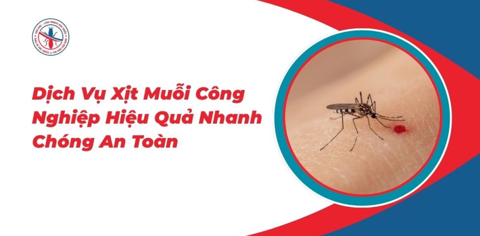 Dich-Vu-Xit-Muoi-Cong-Nghiep-Hieu-Qua-Nhanh-Chong-An-Toan