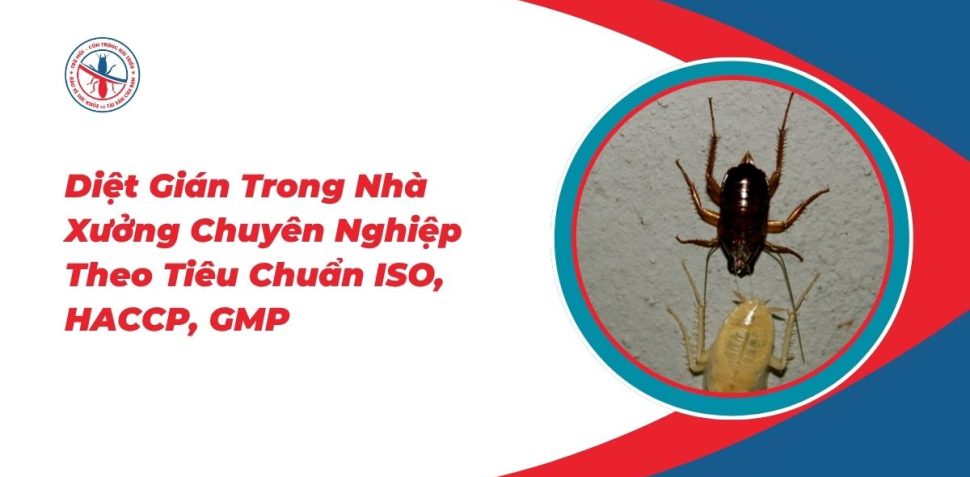Diet-Gian-Trong-Nha-Xuong-Chuyen-Nghiep-Theo-Tieu-Chuan-ISO-HACCP-GMP