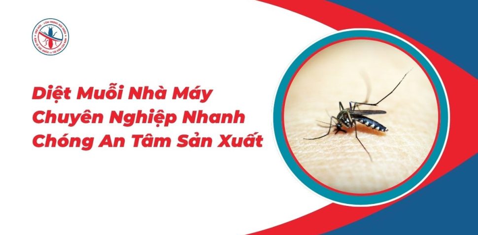 Diet-Muoi-Nha-May-Chuyen-Nghiep-Nhanh-Chong-An-Tam-San-Xuat
