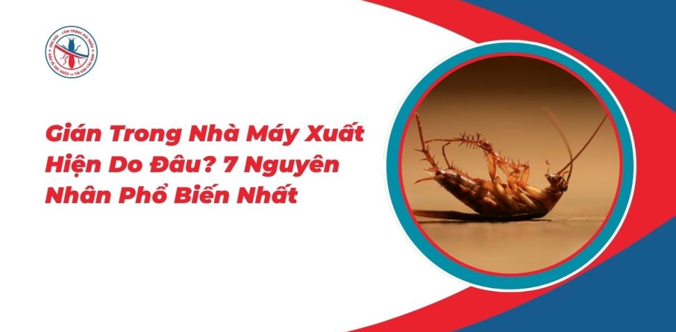 Gian-Trong-Nha-May-Xuat-Hien-Do-Dau-7-Nguyen-Nhan-Pho-Bien-Nhat