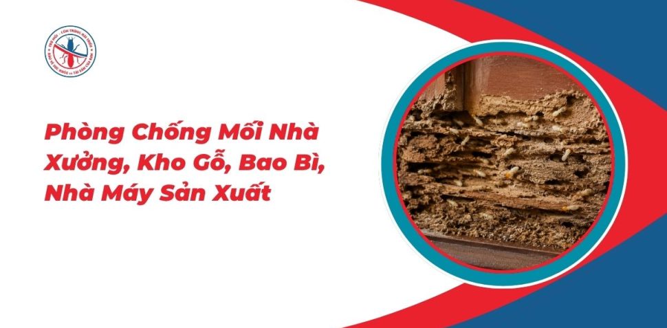 Phong-Chong-Moi-Nha-Xuong-Kho-Go-Bao-Bi-Nha-May-San-Xuat