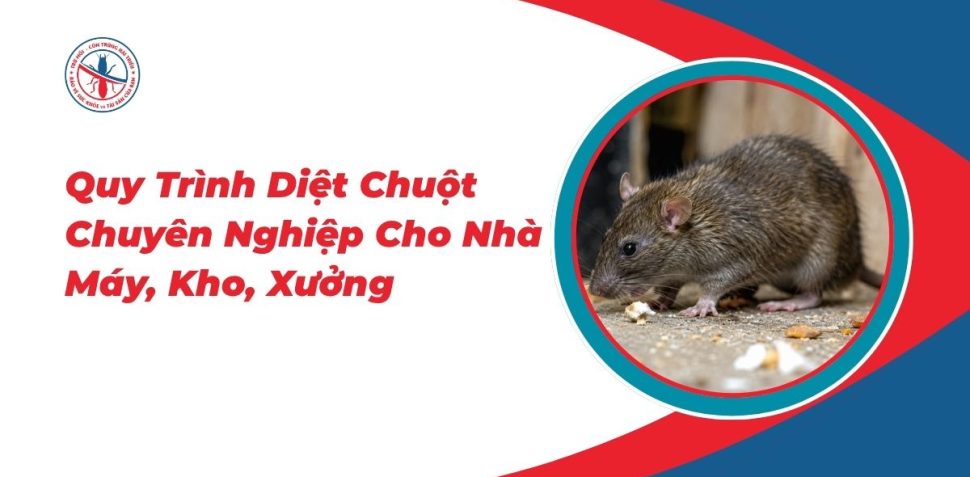 Quy-Trinh-Diet-Chuot-Chuyen-Nghiep-Cho-Nha-May-Kho-Xuong