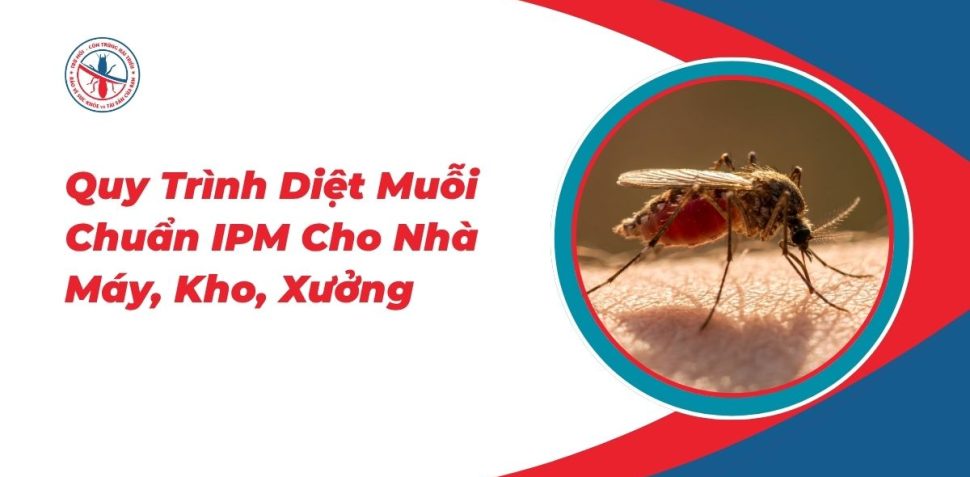 Quy-Trinh-Diet-Muoi-Chuan-IPM-Cho-Nha-May-Kho-Xuong