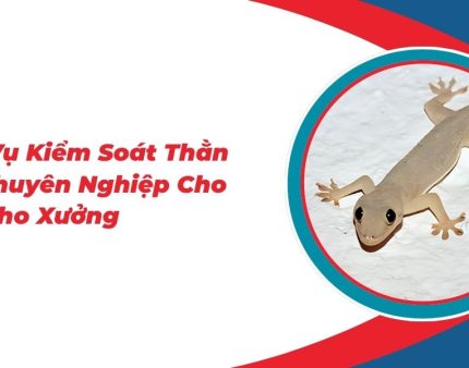 Dich-Vu-Kiem-Soat-Than-Lan-Chuyen-Nghiep-Cho-Nha-Kho-Xuong