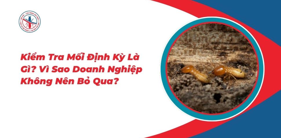 Kiem-Tra-Moi-Dinh-Ky-La-Gi-Vi-Sao-Doanh-Nghiep-Khong-Nen-Bo-Qua